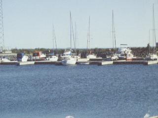 Blind River Marina Twin tube style; Actual Size=130 pixels
